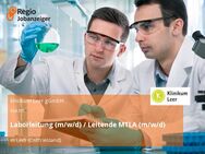 Laborleitung (m/w/d) / Leitende MTLA (m/w/d) - Leer (Ostfriesland)