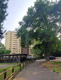 WOHNEN MIT STIL - MITTEN IN BOTHFELD - Hannover