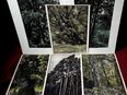 Franz Hein 6 original Holzdruckschnitte „Unsere Bäume“ in 57572