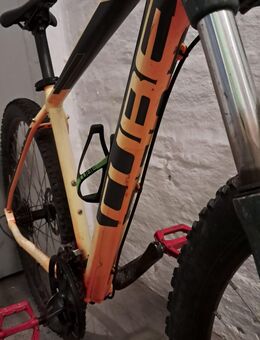 Cube MTB 29Zoll - Bautzen