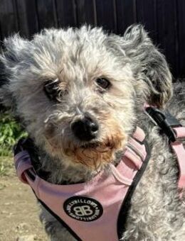 Lotti möchte mit dir zusammen alt werden - Paderborn