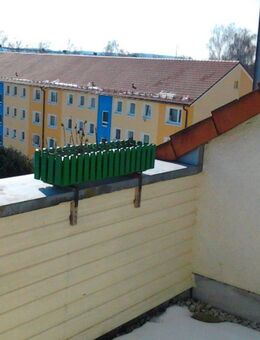 2-Raum-Wohnung mit Dachterrasse und EBK - Bayreuth