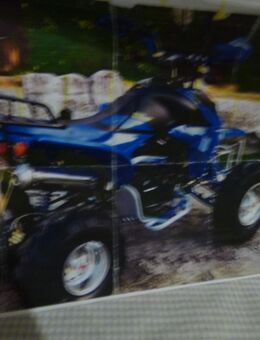 Quad - Herten