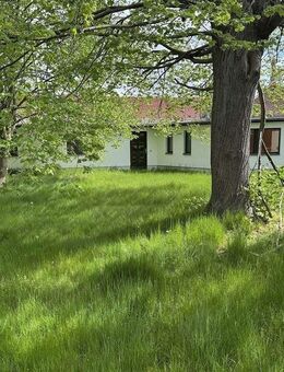Einfamilienhaus im Bungalowstil in Ullersdorf zum Kauf | sanierungsbedürftig | mit Entwurfsplanung - Radeberg