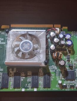 NVIDIA GEFORCE 6600 256 MB DDR VIVO DVI-I PCIe x16 - Verden (Aller)