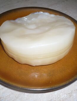 Kombucha Pilz zum Selbstansetzen, mit Erfolgsgarantie - Castrop-Rauxel