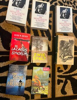 Bücherpaket - Klassiker & Krimis (3€ pro Stück) - Mülheim (Ruhr)