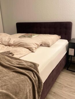 Boxspringbett 180x200 cm - Paderborn