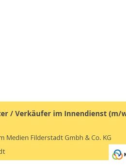 Mediaberater / Verkäufer im Innendienst (m/w/d) - Filderstadt