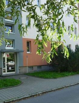 Jetzt nicht verpassen: Halbes Jahr- halbe(Kalt)Miete - Chemnitz