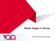 Audi SQ5, 3.0 TDI quattro Business-Paket, Jahr 2024 - Bad Kreuznach