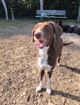 SIMARA IST BEREIT DURCHZUSTARTEN - Mönchengladbach