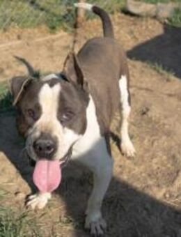 Neues Leben für Neo gesucht - München