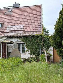 Ruhige Lage am Stadtwald + Gasbrennwert Therme ca. 2023 - Wittenberg (Lutherstadt)