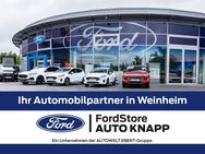 Ford Fiesta, 1.0 Notbremsass Berganfahrass Kollisionswarner Winterpaket, Jahr 2013 - Weinheim