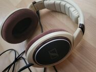 Verkaufe diese Kopfhörer von SENNHEISER HD 598 - Hoppegarten
