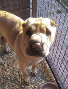 Michelle - verdient ein tolles Leben! - Köln