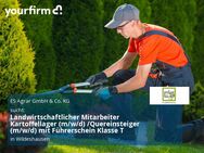 Landwirtschaftlicher Mitarbeiter Kartoffellager (m/w/d) /Quereinsteiger (m/w/d) mit Führerschein Klasse T - Wildeshausen