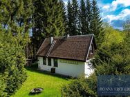 Traumhaft gelegenes Ferienhaus Tiny House in Bärenstein nahe Oberwiesenthal Fichtelberg, Erzgebirge - Bärenstein