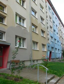 gemütliche 2 Raum Wohnung mit Balkon und Dusche - Döbeln