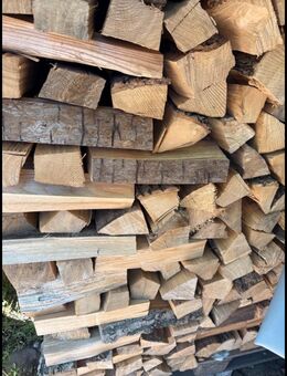 Brennholz/kaminholz trocken - Waren (Müritz) Zentrum