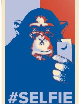 Reinders! Poster Selfie Affe, (1 St)