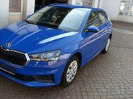 Skoda Fabia Active - Waldheim