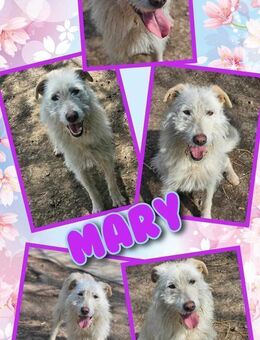 tolle Mary möchte endlich ausreisen - Nürnberg