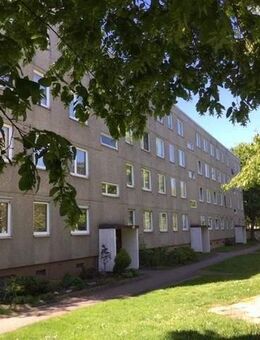 Schöne Wohnung: günstige 3-Zimmer-Wohnung in grüner Wohnlage - Kassel