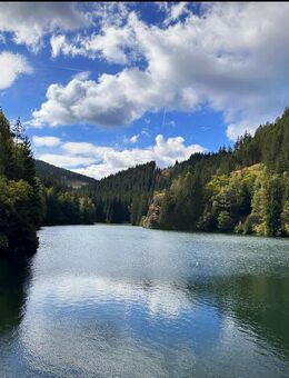 Auswanderziel suchen - Würzburg