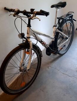 Fahrrad Raleigh Fun Max7 - Görlitz