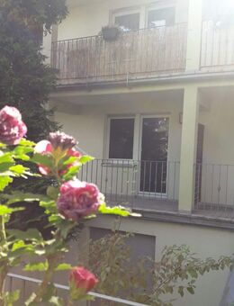 Charmante 3-Raumwohnung über zwei Ebenen mit sonnigen Balkon und zwei Terrassen - Frisch renoviert für Sie - Schönburg