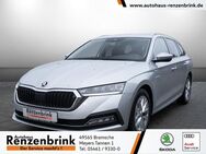 Skoda Octavia, 2.0 TDI Combi First Edition, Jahr 2021 - Bramsche