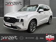 Hyundai Santa Fe, 2.2 CRDi 8DCT "Signature" AppleCarplay KRELL LM, Jahr 2022 - Darmstadt