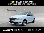 Skoda Fabia, Cool Plus 44kw, Jahr 2019 - Niestetal