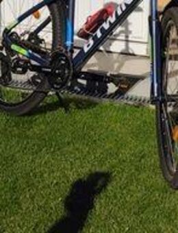 Herren Mountenbike - Rheinbach