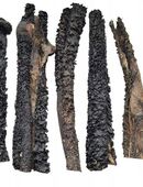 Pansen Rindermägen getrocknet, 100 % natürlich 1kg Hundefutter Set1 in 42105