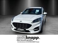 Ford Kuga, 2.5 Duratec ST-Line B, Jahr 2021 - Weinheim