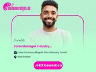 Sales Manager Industry (m/w/d) - Bramsche