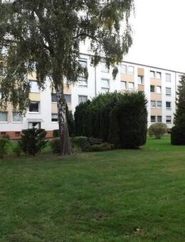 Top Renditeobjekt ( 8 ETW - Monteurwohnungen) in Salzgitter-Lebenstedt - Salzgitter