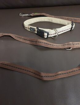"Hunter" Halsband und Leine, wie Neu - Zossen