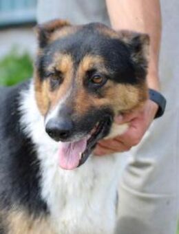 Roslin sehr kinderlieb u. aufmerksam - Lohra