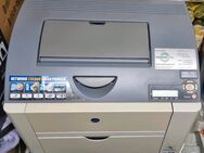 Drucker & Scanner als Bastlerware - Neustadt (Rübenberge)
