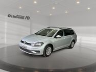 VW Golf Variant, 1.0 TSI Golf VII Trendline, Jahr 2018 - Wolfhagen