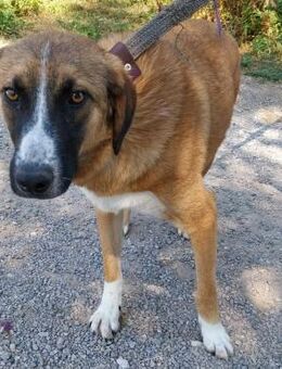 Nancy - Weilmünster