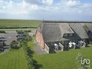 Ferienhaus unter Reet direkt am Nordseedeich - Nordstrand