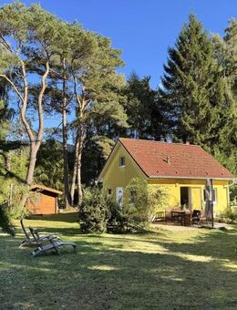 Wohnen im Küstenwald - nur wenige Schritte bis zum Strand - Dierhagen (Ostseebad)