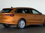 Skoda Octavia, 2.0 TDI IV Combi Ambition, Jahr 2024 - Neuensalz