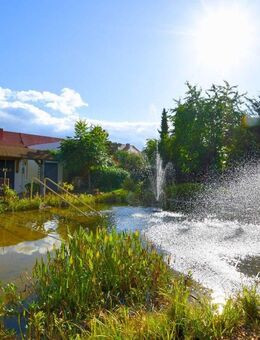 Fachwerkromantik & Freiheit pur - Ihr Rückzugsort mit großem Grundstück - Calvörde