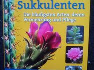 Michael Januschkowetz Kakteen und Sukkulenten Kaktus Buch neuwertig - Paderborn